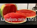 Выбираем вкусный АРБУЗ #shorts