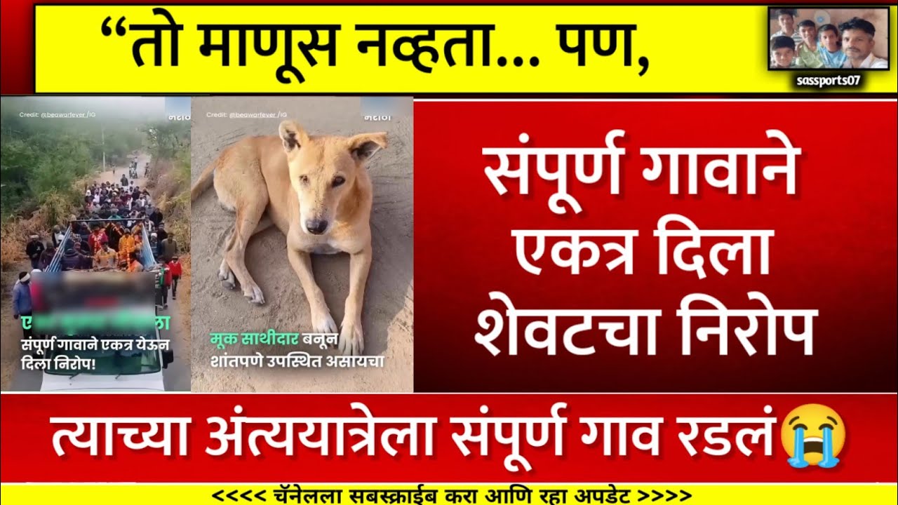 भटक्या कुत्र्याच्या अंत्ययात्रेसाठी संपूर्ण गाव एकवटलं | Dog Sa Humanity Story Marathi