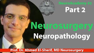 Neuropathology | Introduction to Neurosurgery Part 2 | NeuroAcademy #6