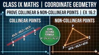 Exercise 16.2 Class IX New Mathematics Book Unit 16 | Introduction to Coordinate Geometry
