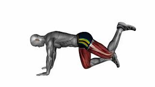 AOVALO donkey kicks bodyweight fitness exercise workout animation