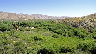 Big Morongo Canyon Preserve