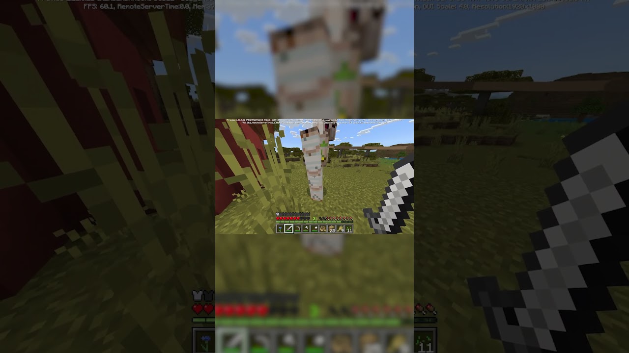justifiabl gets a new pet