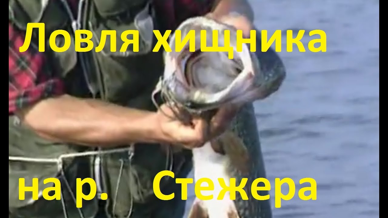 Волга и рыбак ахтубинск