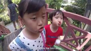 20180605 - Jurong Bird Park - Part 1