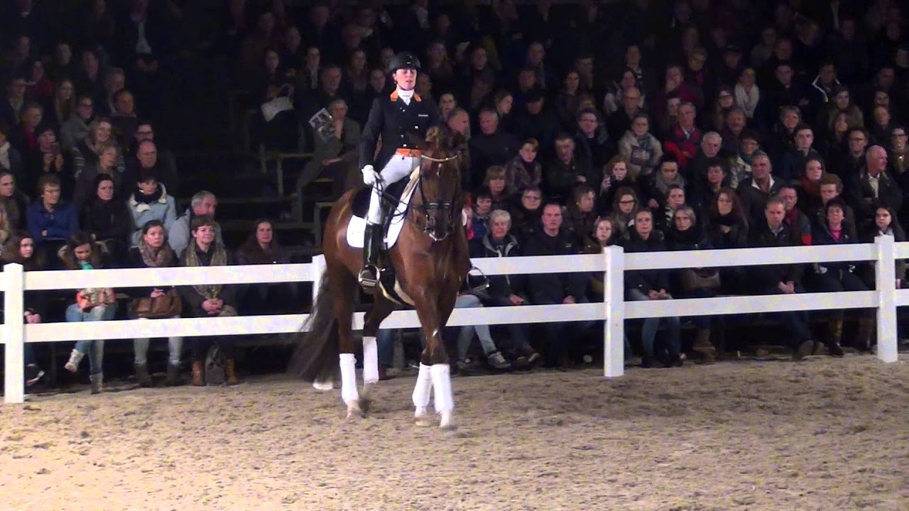 Charmeur Stallion Show Van Uytert 2015