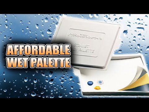 Best Wet Palette For Painting Miniatures & Warhammer