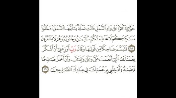 سورة النمل 6 القسم السادس تكرار كيفي من .. حتى إذا أتوا على واد النمل قالت نملة .. إلى .. الصالحين