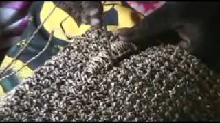 How To Make A Banana Twine Bag Rwanda