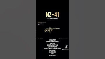 NZ-41 CUSTOM LOADOUT 👍 Follow Me for more Gun Build Videos on TikTok @hooliewhoo #hooliewhoo