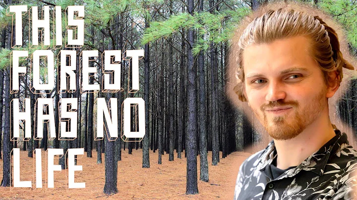 Plantation forests: a history of British forestry - Thomas Pendlebury