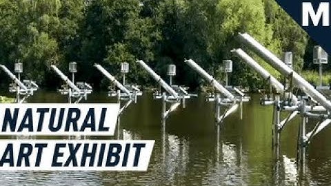 Nature & Music Combine In This Mesmerizing Art Installation | Future Blink