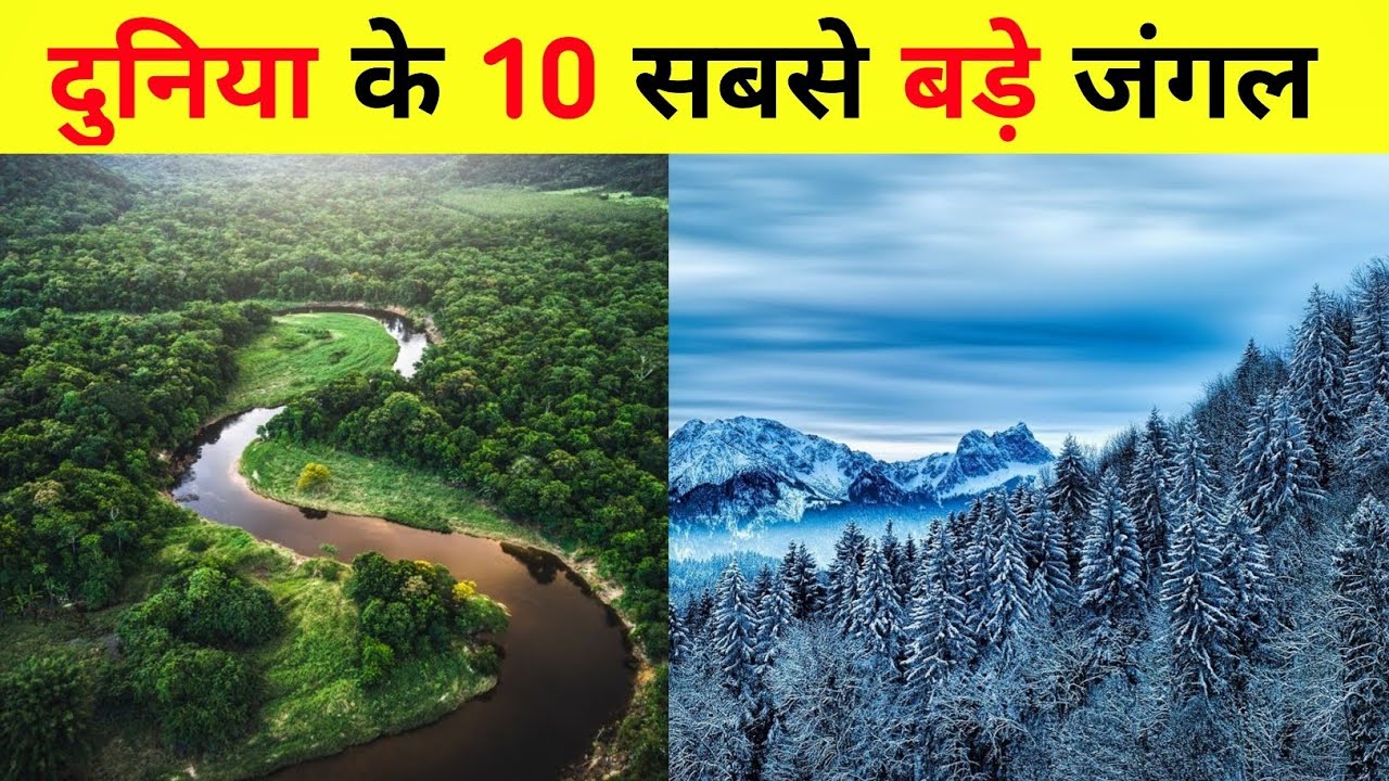 10-top-10-largest-forests-in-the-world
