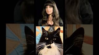 Master Gable Presents Shocking Blue's "This America" =^.,.^= ❤️ #cat #shockingblue #70s #music #rock