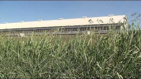 The Coalition to Support Iowa