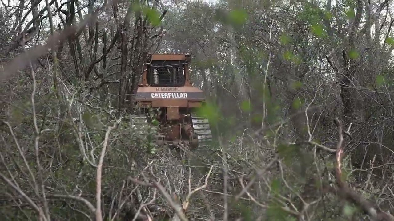 República 7 Bosques 26 10 26 01