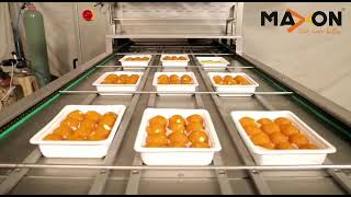 Celebrity Automatic Linear Type MAP Tray Sealer - MAXON OTS 300 Wealth