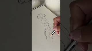 Jellyfish drawing tutorial #drawingtips #tutorialdrawing #draw #arttutorial #tipsfordrawing