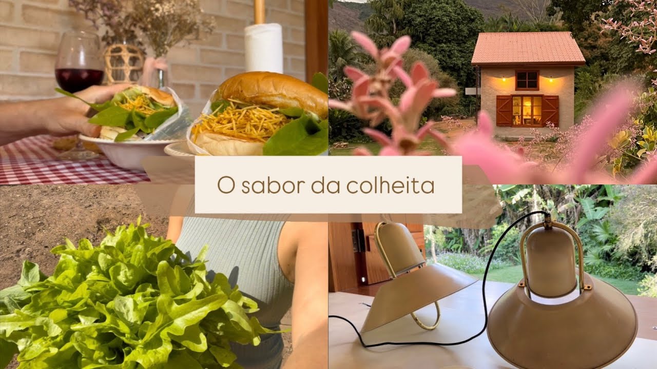 #8 Colheita de alfaces e visita a casinha antiga 🏡🥬| vlog chuvoso no campo, instalando luminárias