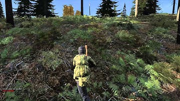 First day of .59 (stable) Gets killed by hackers @DayZ