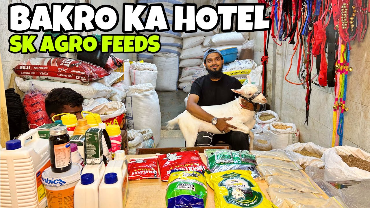 QURBANI KE BAKRO KA ONE STOP SOLUTION ( RESTAURANT) AT SK AGRO FEEDS ...