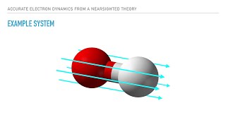 Accurate electron dynamics from a nearsighted theory