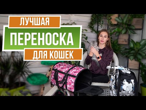 Видео: Какой помет для обезглавленных кошек лучше всего?