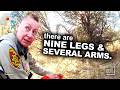 Hunter Discovers 29 Human Body Parts in the Desert