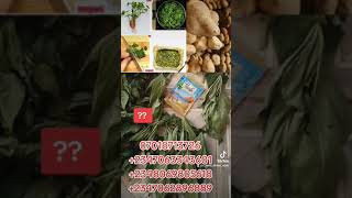 Amfanin Ganyen Dankali By Babangida Snaira Likitan Mata Please share like and subscribe screenshot 4