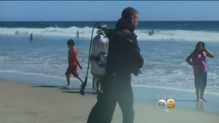 Search For Missing Swimmer At Zuma Beach Ends Tragically
