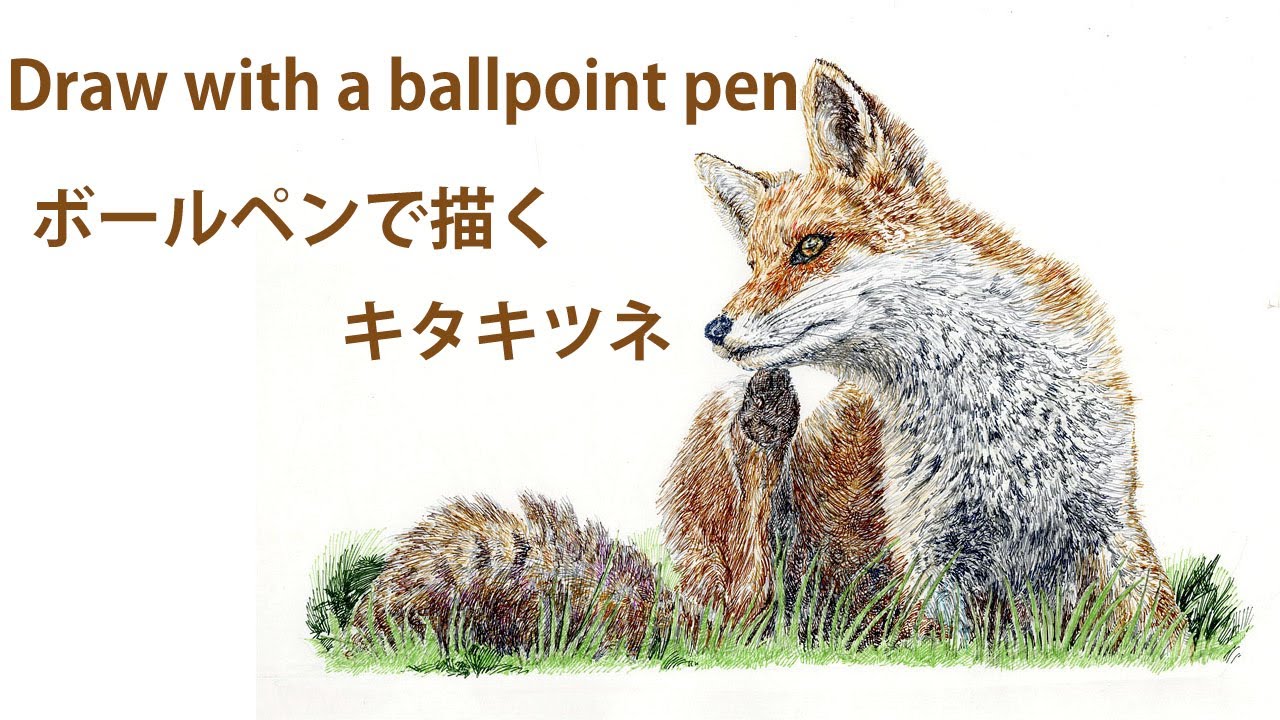 ボールペン画】Draw with a ballpoint pen~カラーボールペンで描く