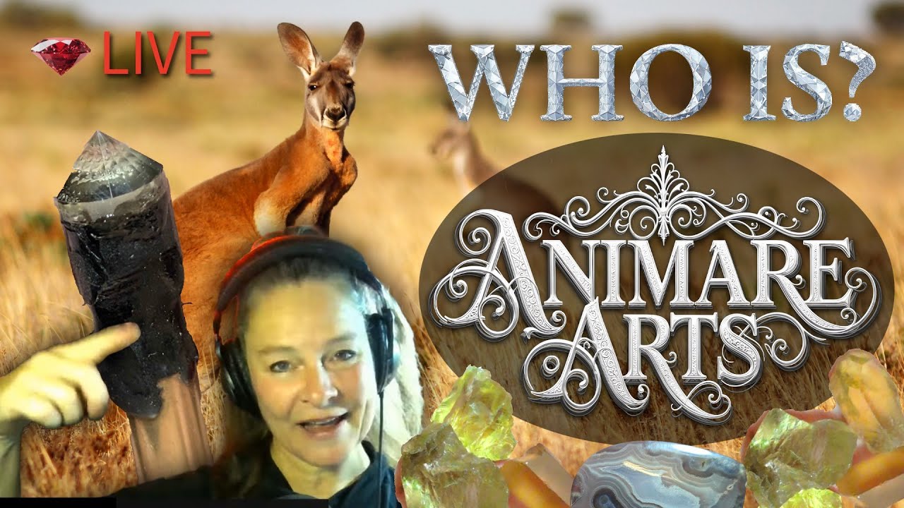 ROCKs from Down Under: Who is Animare Arts? Friday Night LIVE! - YouTube