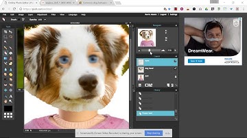 Pixlr - Blur, Sharpen, Hiding and renaming layers