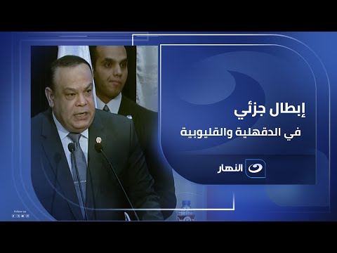 الهيئة الوطنية للانتخابات: إبطال جزئي للجان ببعض الدوائر بمحافظتي القليوبية والدقهلية