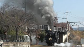 SLスチーム号 SL旅客列車廃止から50年の日 生き残った唯一のC62