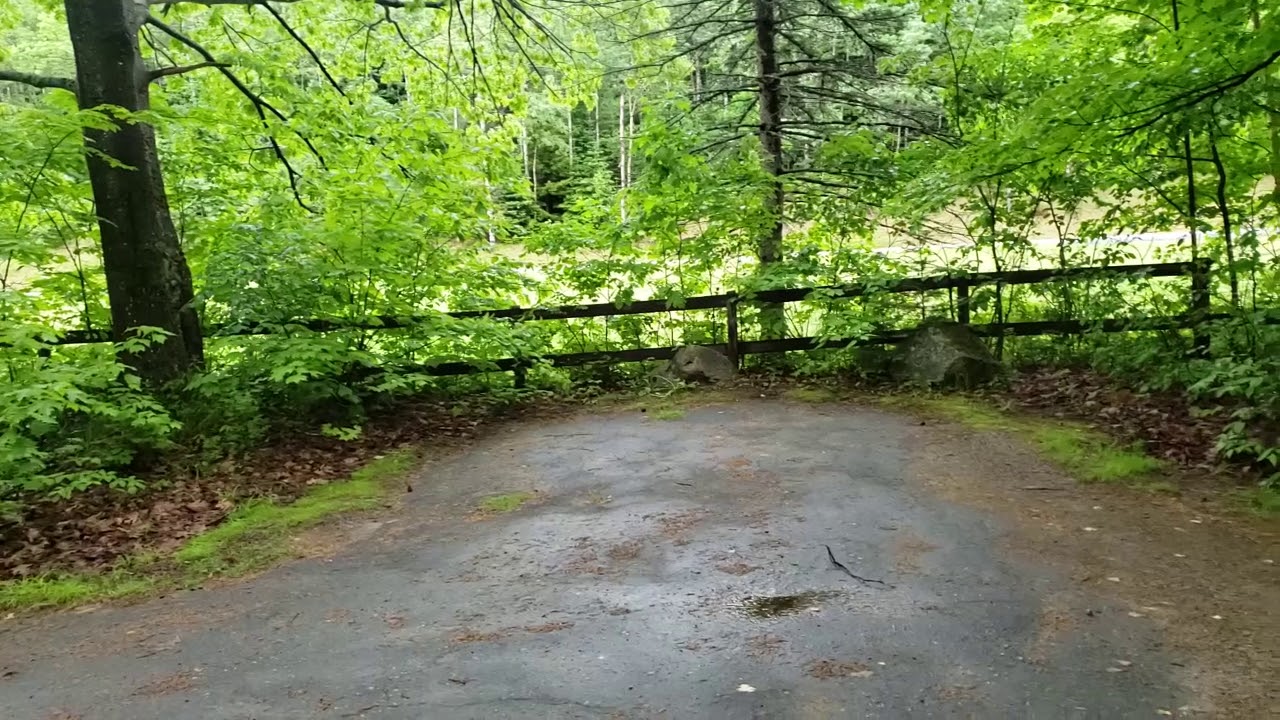 Video of Zealand Campground, NH from Jean C. YouTube