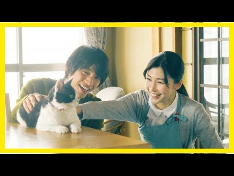 合作竹內結子 福士蒼汰幸福喊「像家人」