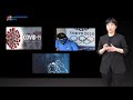 Motivations by Dr. Youngsook Kim