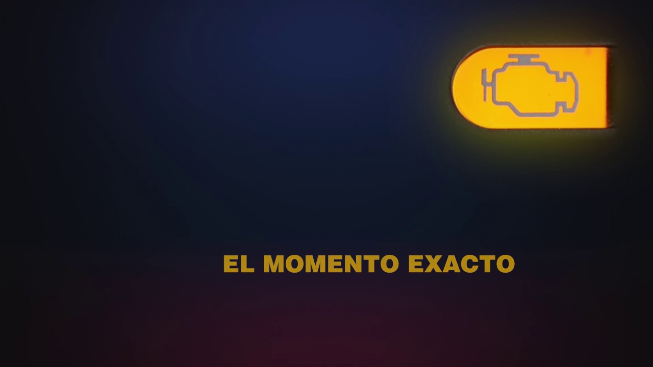 AGCO Parts seals and gaskets Exact Moment Massey Ferguson [Spanish