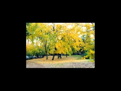 Ella 官恩娜 依依 cover