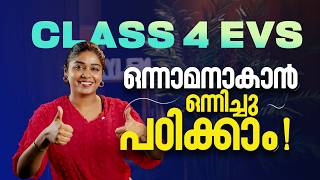 ഒന്നാമനാകാൻ ഒന്നിച്ചു പഠിക്കാം!!! | Xylem Class 4