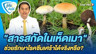 "สารสกัดในเห็ดเมา" ช่วยรักษาโรคซึมเศร้าได้จริงหรือ? | รู้ทันกันได้