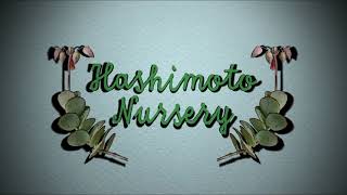 4.18 Rough Draft 3D Motion Identity