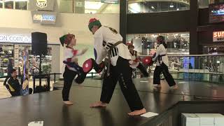 WEM Mall Demo December 7, 2019!