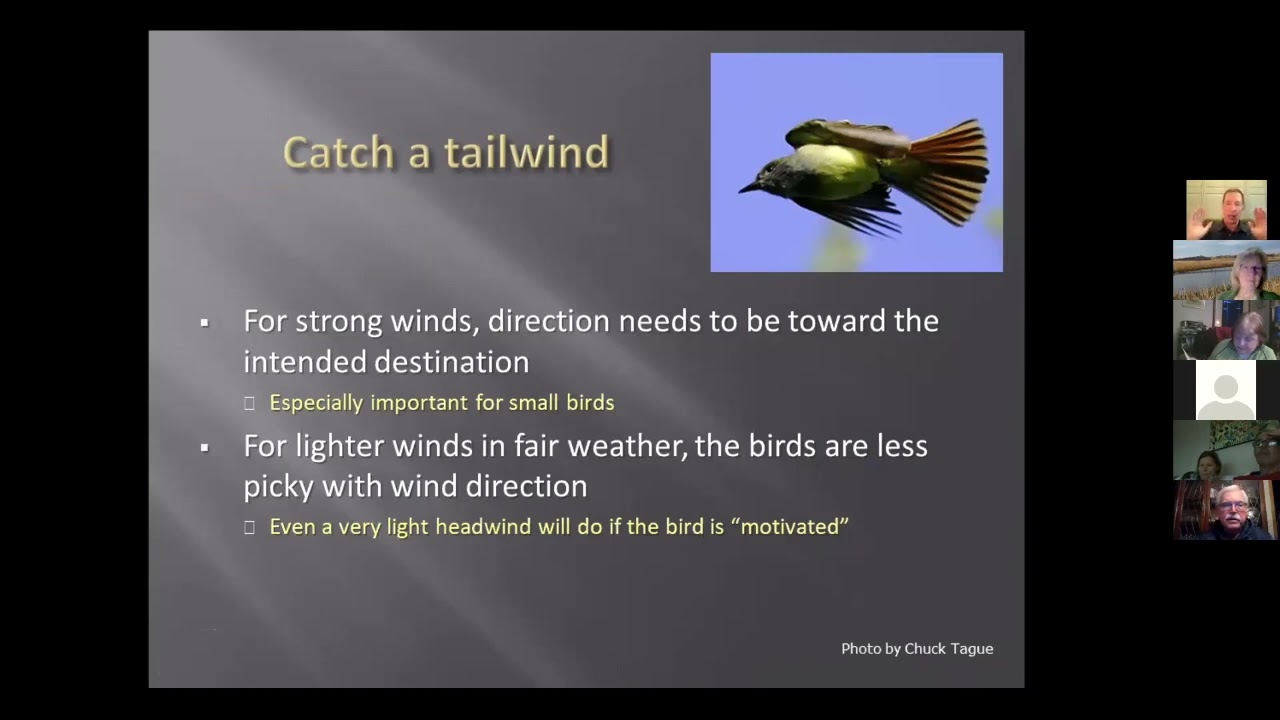“Weather, Radar and Bird Migration”