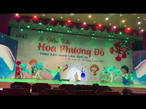 ks hoa phượng đỏ vũng tàu New Update Hội thi Hoa Phượng đỏ tỉnh Tây Ninh, đơn vị huyện Châu Thành năm 2019