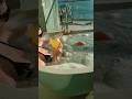 курортный роман #музыка #песня #reels #топ #любовь #поювванне #иимузыка #моипесни