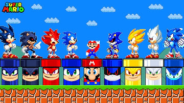 What if Super Mario had Custom Pipes All Sonic Form Characters?