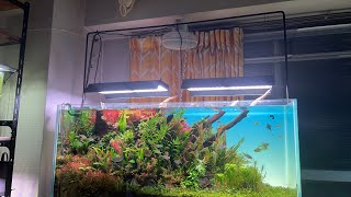 水槽 海水魚水槽 120cm｜大阪アクアガーデン