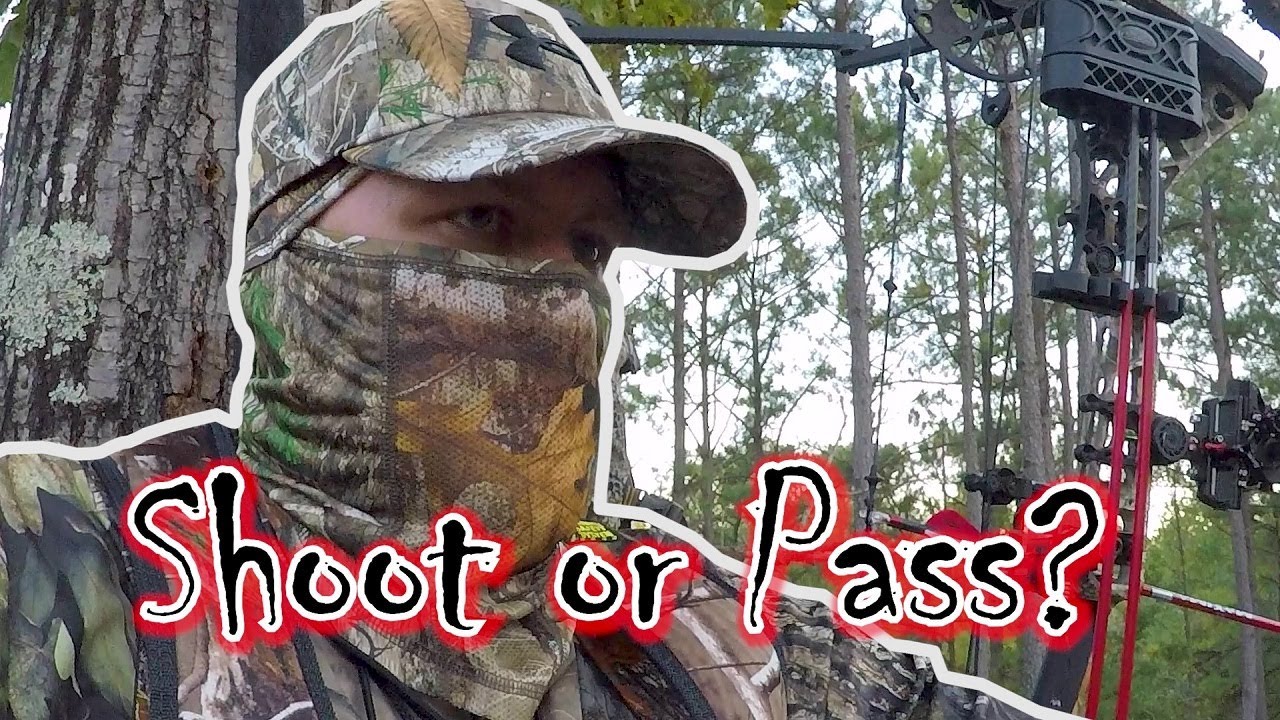 What Would You Do? Opening Day Virginia Deer Season 2020 Public